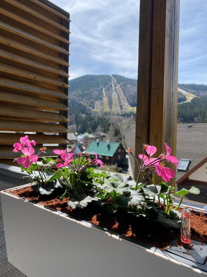 Luxusni Apartman U Sjezdovek S Garazi Harrachov Luaran gambar